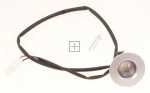 Halogen Lamp - 49016017 Light Bulb [Candy Hoover]
